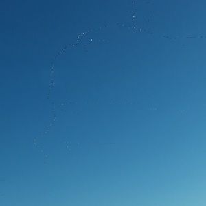 Meet your Posher, Caleb